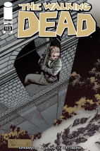 The Walking Dead 114 cover 1